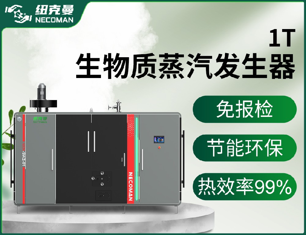 1噸 生物質蒸汽發生器